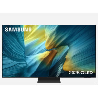 Samsung QE65S95F