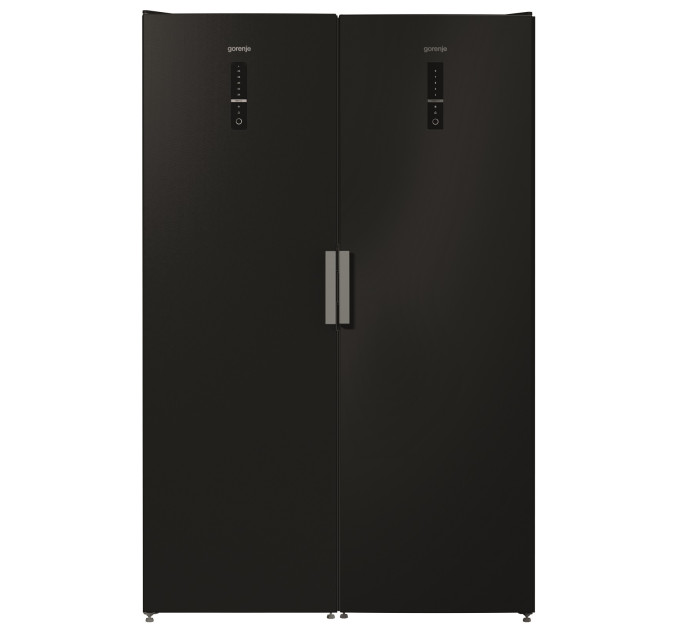 Морозильна камера Gorenje FN6192PB