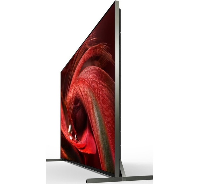 Телевизор Sony XR65X95J