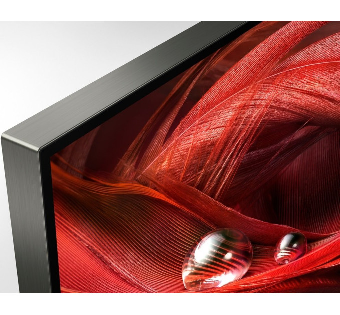 Телевизор Sony XR65X95J