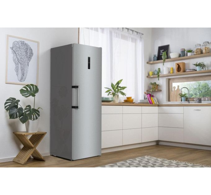 Морозильна камера Gorenje FN619EAXL6