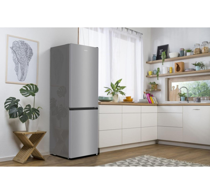 Холодильник Gorenje RK6192EXL4