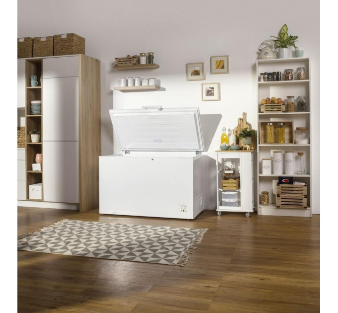 Морозильна камера Gorenje FH302CW