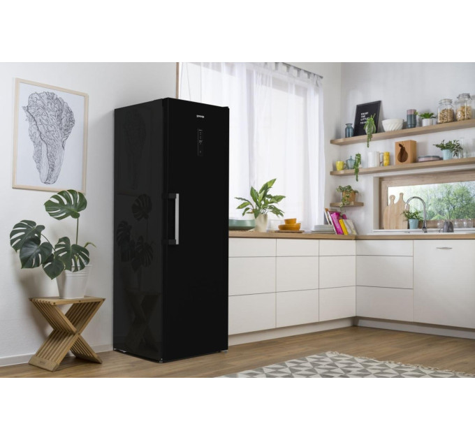 Холодильник Gorenje R619EABK6