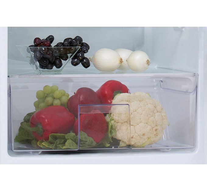 Холодильник Snaige C29SM-T1002E