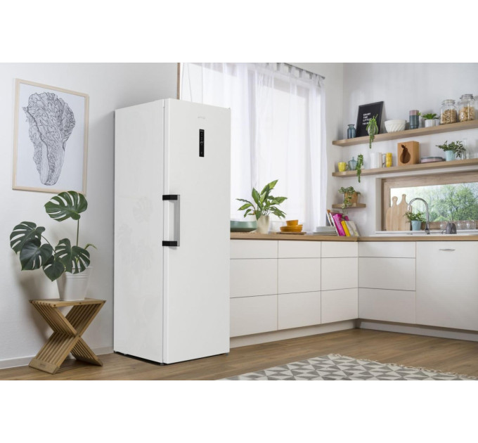 Морозильная камера Gorenje FN619EAW6
