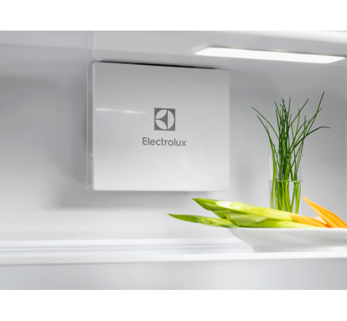 Встраиваемый холодильник Electrolux ERD6DE18S1