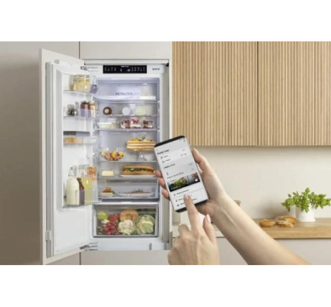 Встраиваемый холодильник Gorenje NRKI517E62WF