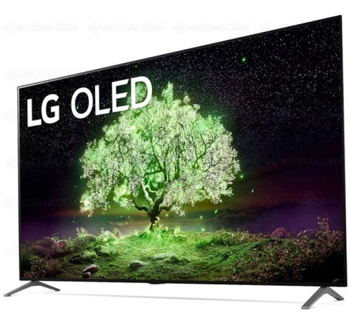 ТБ LG OLED55A13LA