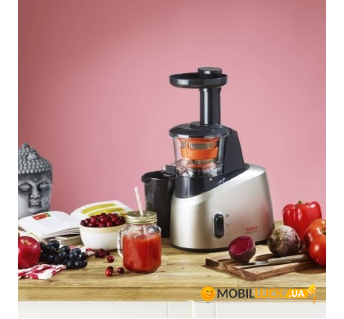 Соковыжималка Tefal ZC255B38