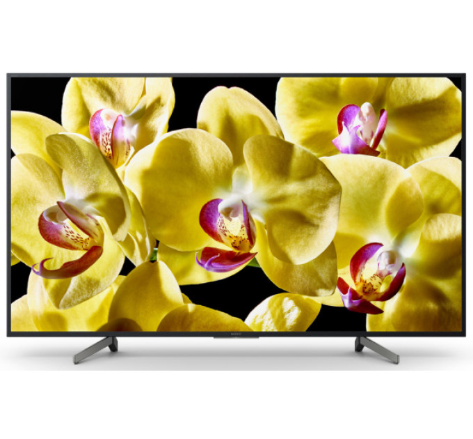 Телевизор Sony KD49XG8396