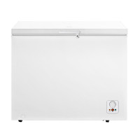 Морозильна камера Gorenje FH251AW